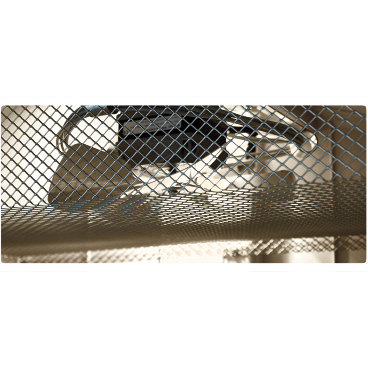 Cosmo EVO 72 Digital Incubator