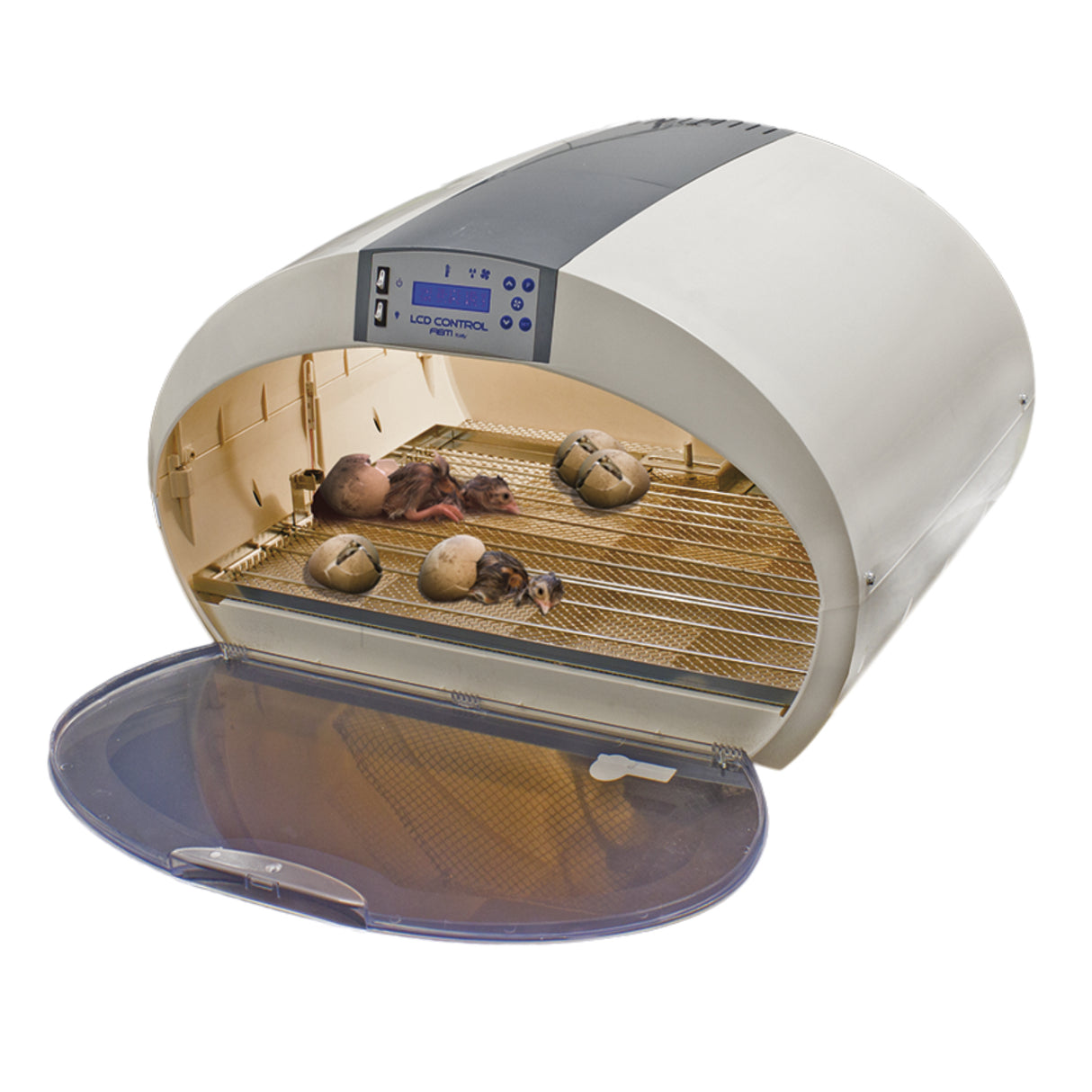 Cosmo EVO 72 Digital Incubator