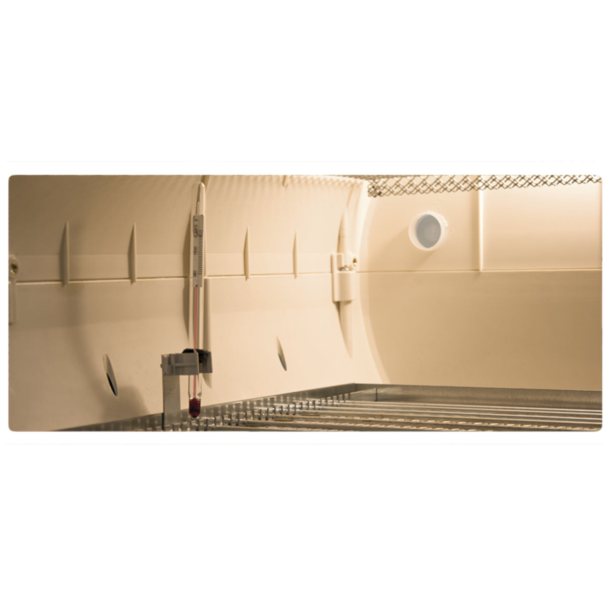 Cosmo EVO 72 Digital Incubator