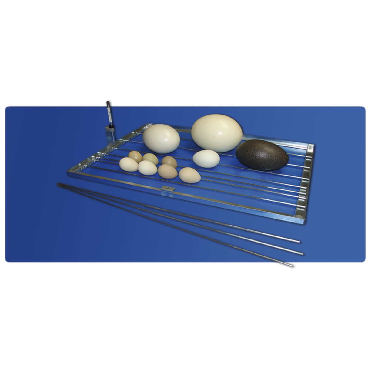 Cosmo EVO 72 Digital Incubator