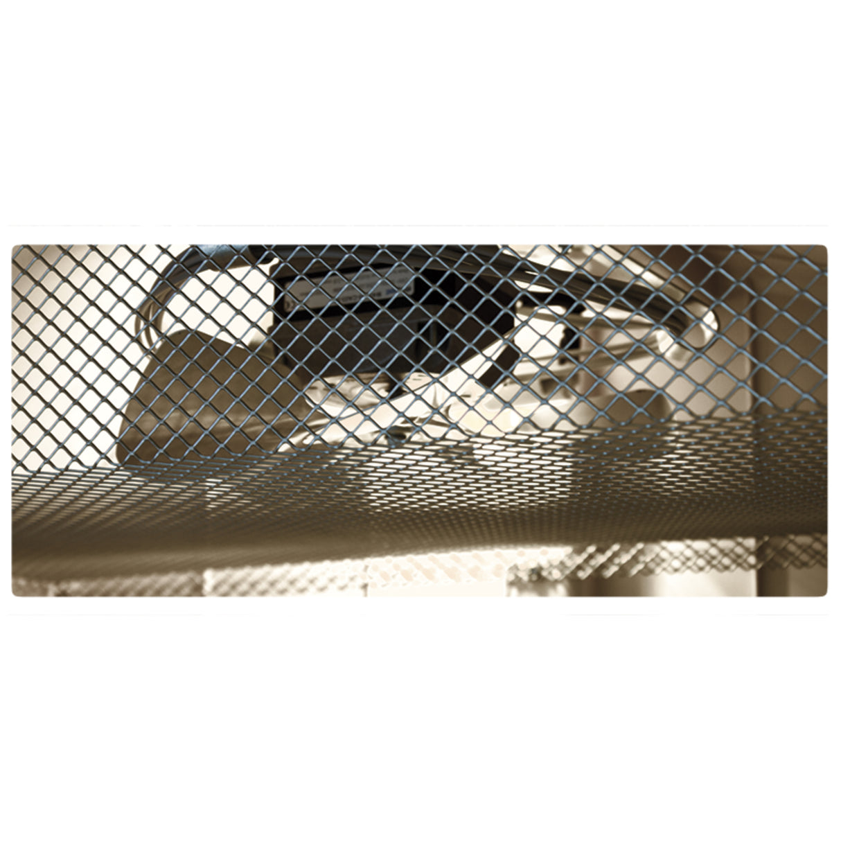 Cosmo Mini LED Digital Incubator