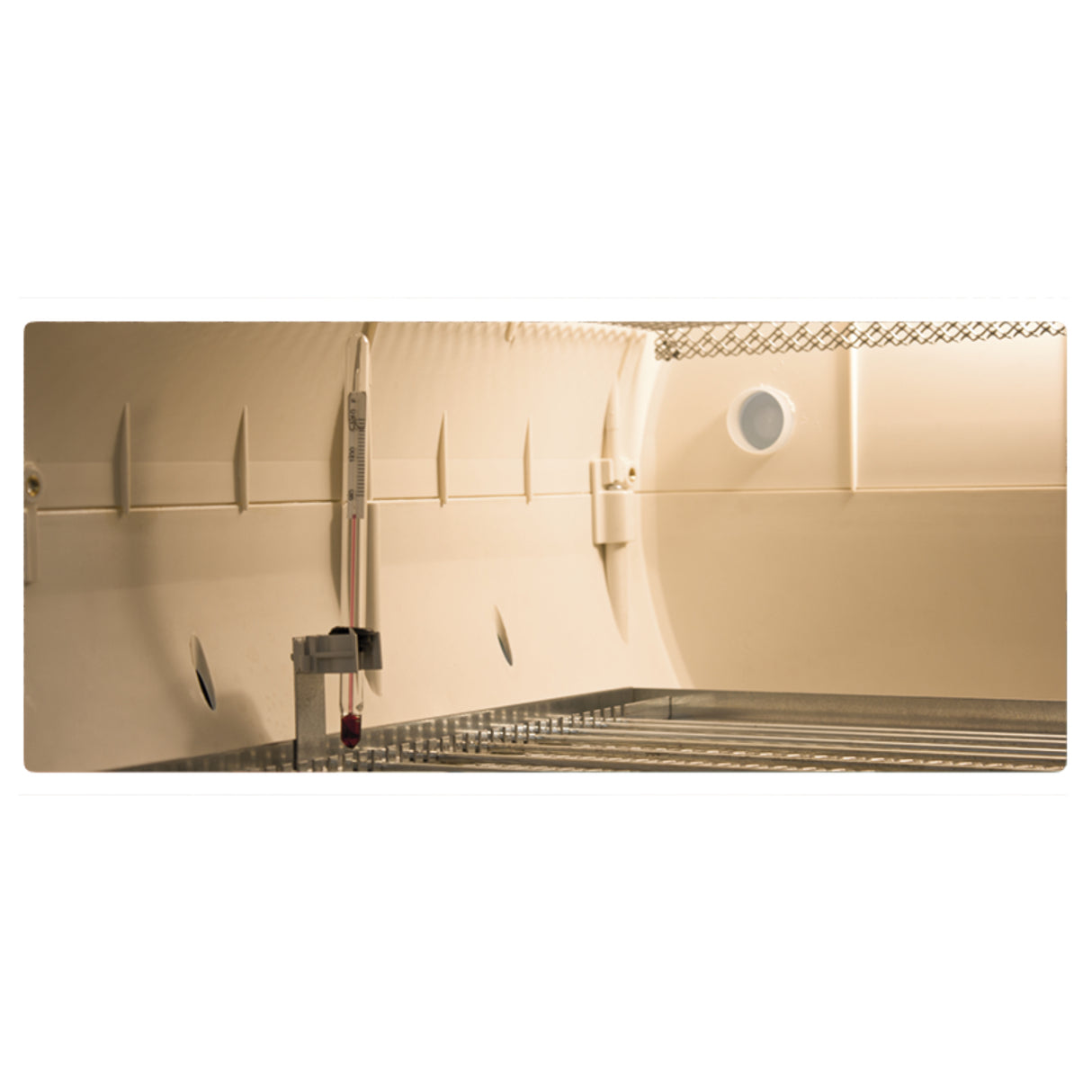 Cosmo Mini LED Digital Incubator