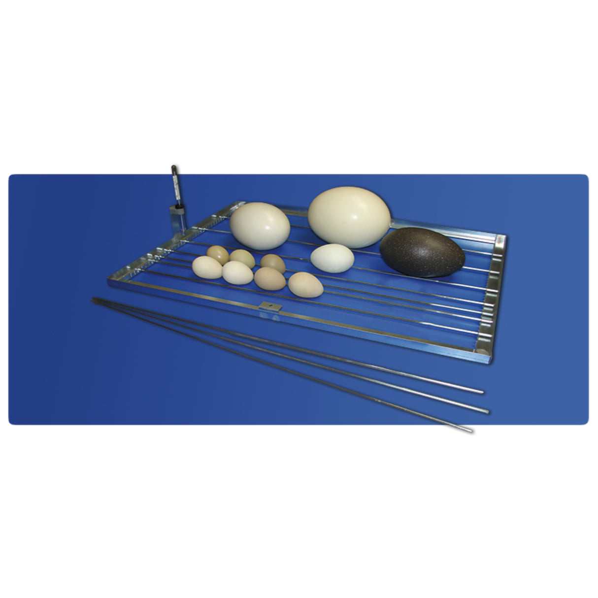 Cosmo Mini LED Digital Incubator