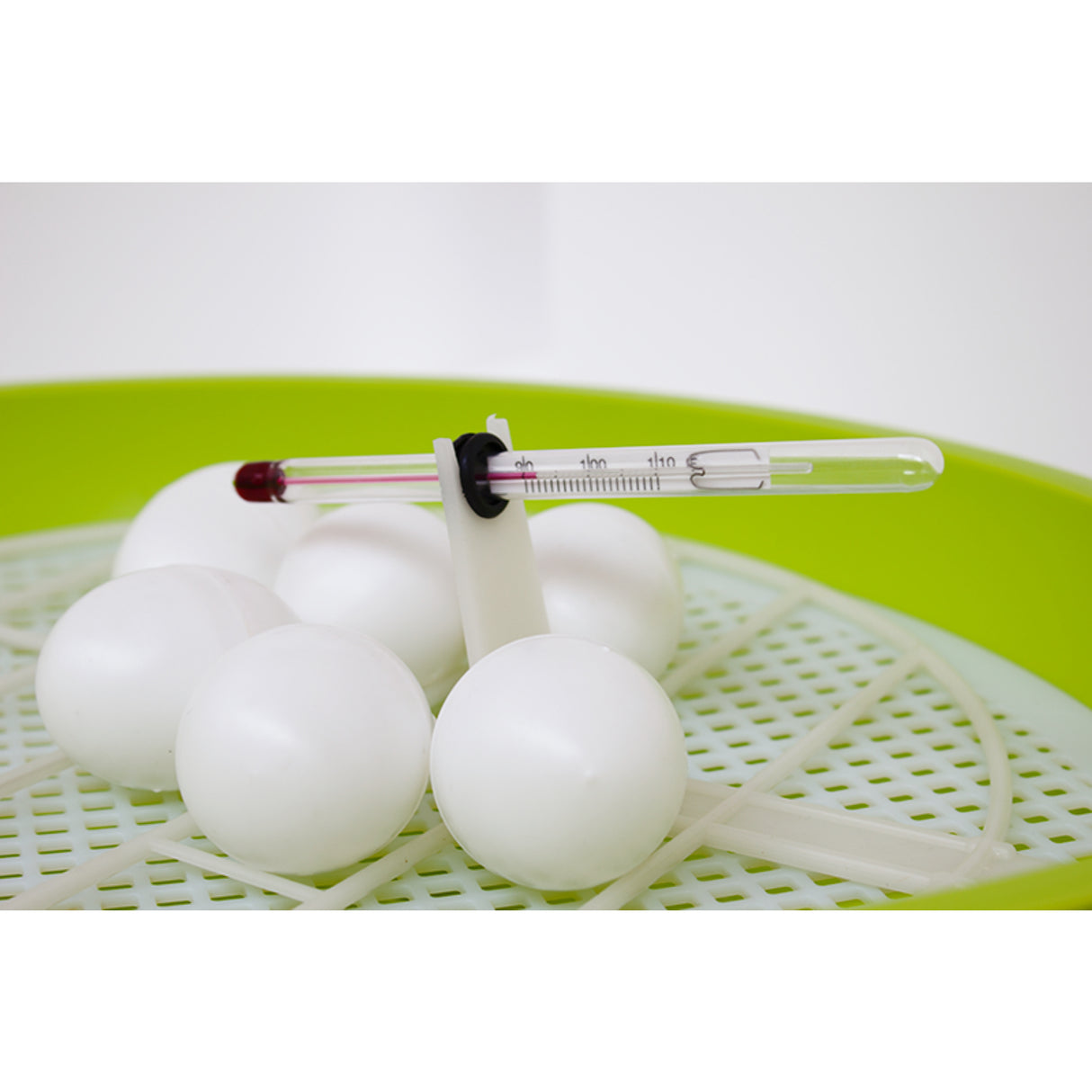 Smart 24 Digital Incubator