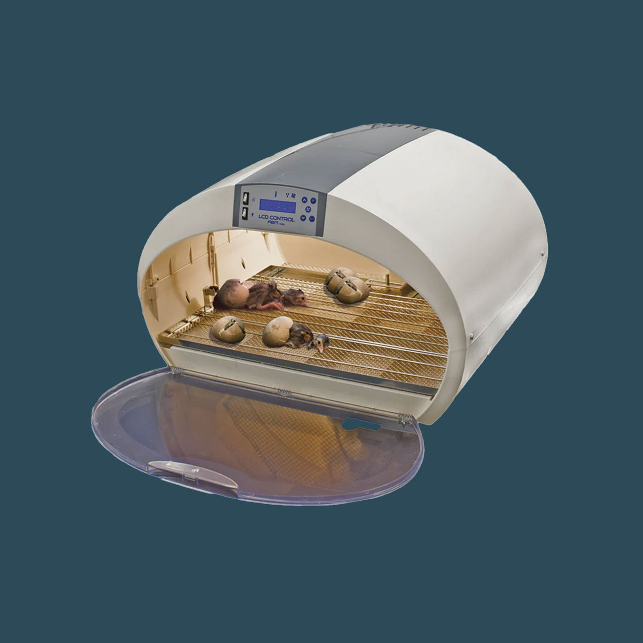 Small Capacity Egg Incubators (0–99 Eggs)