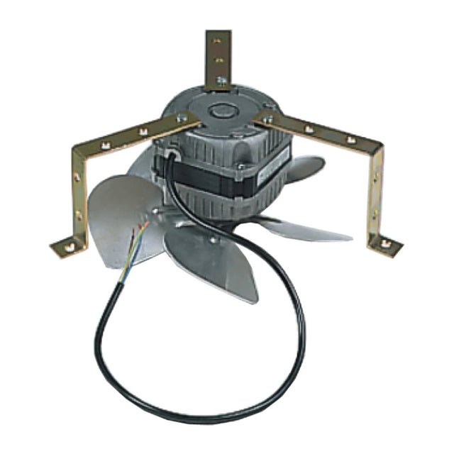 Long Life Fan for Olympic Series