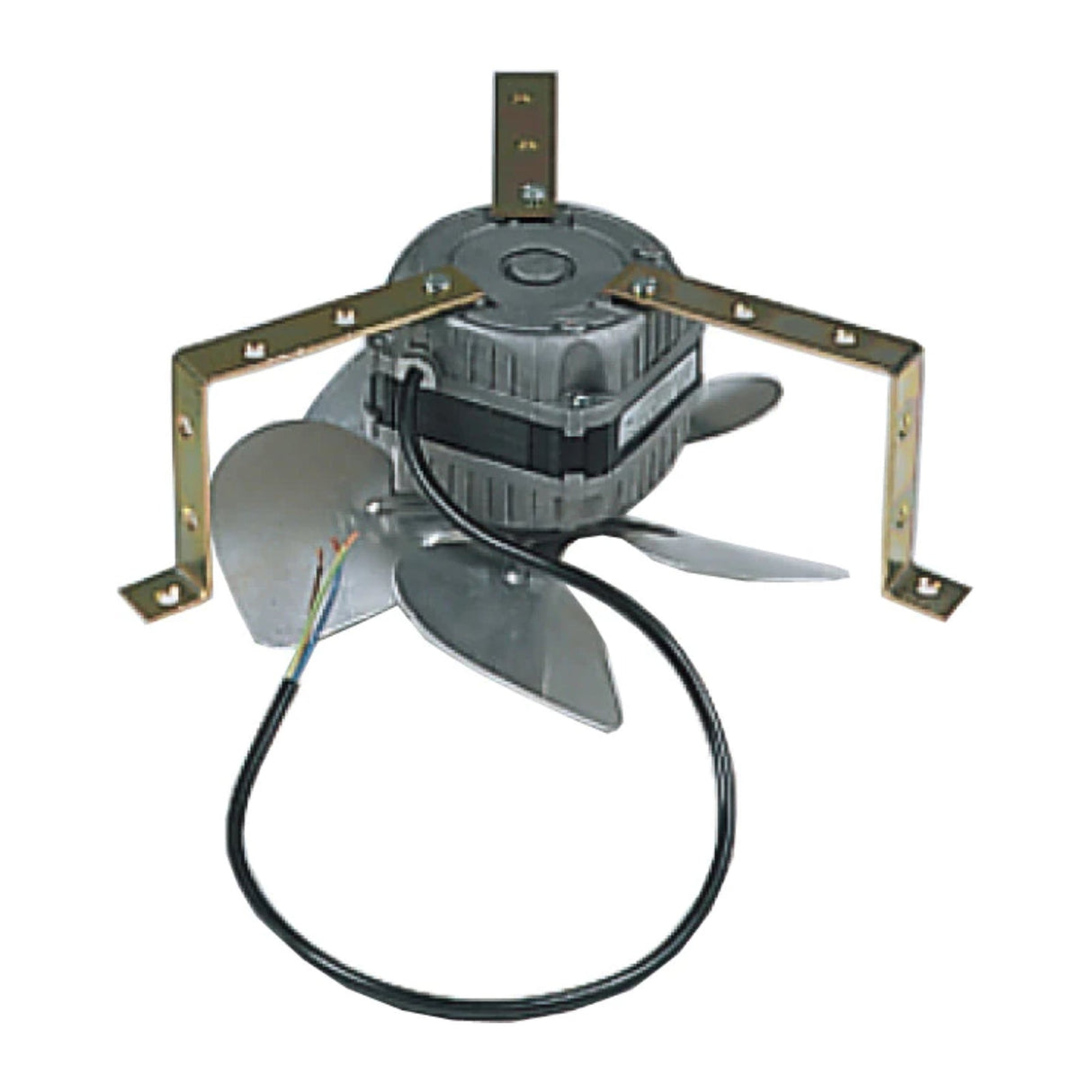 Long Life Fan for Olympic Series